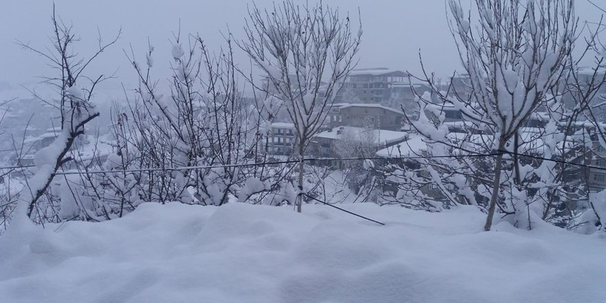 Hakkari'de 259 yerleşim yerine kar engeli