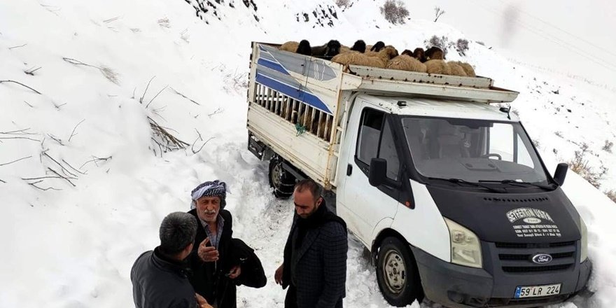 Siirt'te yolda mahsur kalan koyun sürüsü kurtarıldı