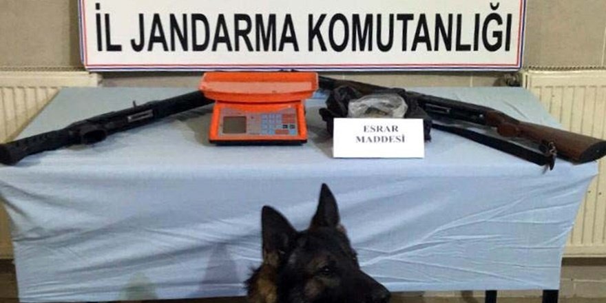 Midyat'ta JASAT ekipleri suç makinesini yakaladı