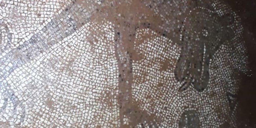 Şanlıurfa'da Roma dönemine ait mozaikler ortaya çıktı