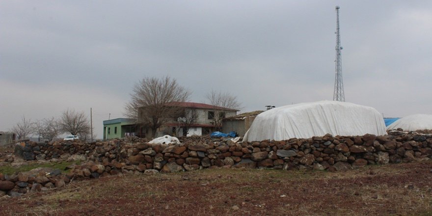 Yarım asır sonra okulla buluşacaklar