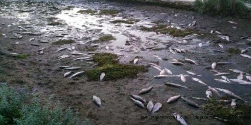 Diyarbakır’da bir kişi elektrikle balık tutmak isterken canından oldu