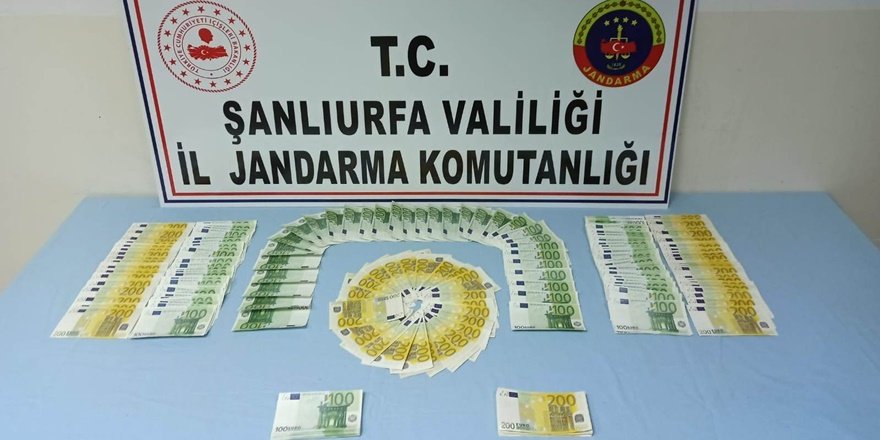 Şanlıurfa'da sahte döviz ve tarihi eser kaçakçılığı operasyonu
