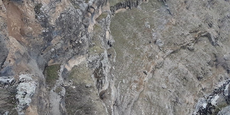 Diyarbakır’da kayıp keçileri AFAD kurtardı