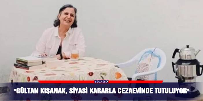 "Gültan Kışanak, siyasi kararla cezaevinde tutuluyor"