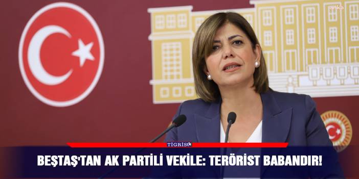 VİDEO - Beştaş'tan AK Partili vekile: Terörist babandır!