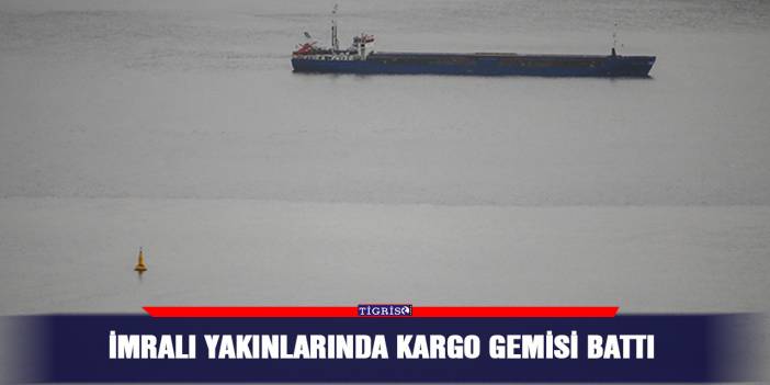 İmralı yakınlarında kargo gemisi battı