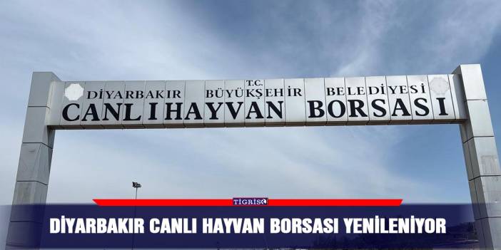 Diyarbakır canlı hayvan borsası yenileniyor