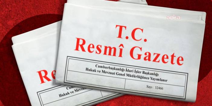 Sosyal medya ve doğum izinleri Resmi Gazete'de