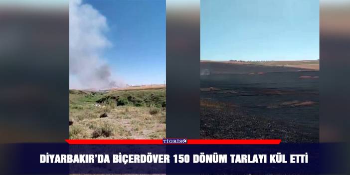 Diyarbakır’da biçerdöver 150 dönüm tarlayı kül etti