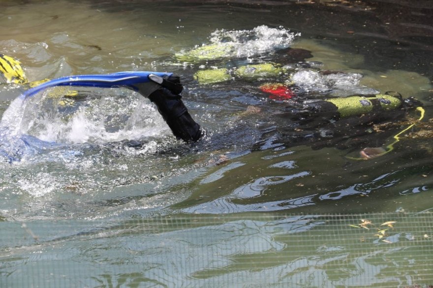 Kaymakam, Gençlerle Suya Daldı