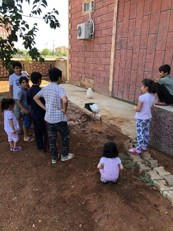 İnsanlığın İki Yüzü: Çocuklar Kurtardı; Diğeri İşkence Etti