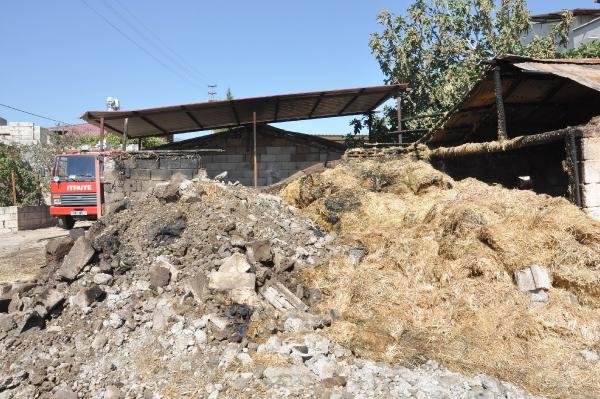 Ahırdaki Yangında, Hayvanlarda Yanıklar Oluştu