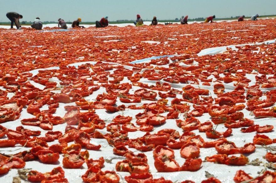 Derik’ten İtalya’ya Uzanan Lezzet