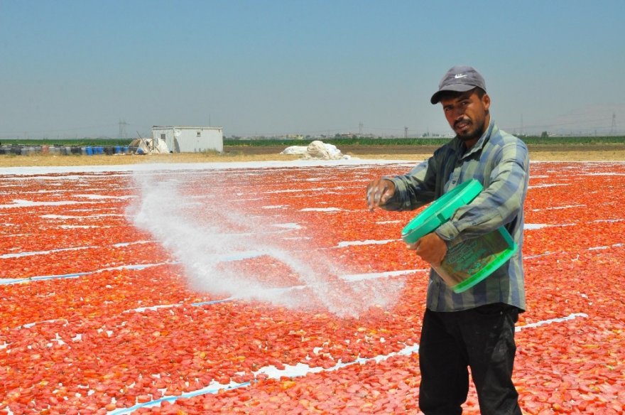 Derik’ten İtalya’ya Uzanan Lezzet