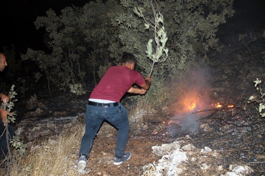 Midyat’ta Korkutan Orman Yangını