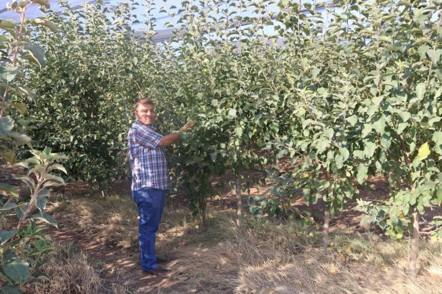 Tam kapasite çalışırsa bin kişiye istihdam sağlayacak