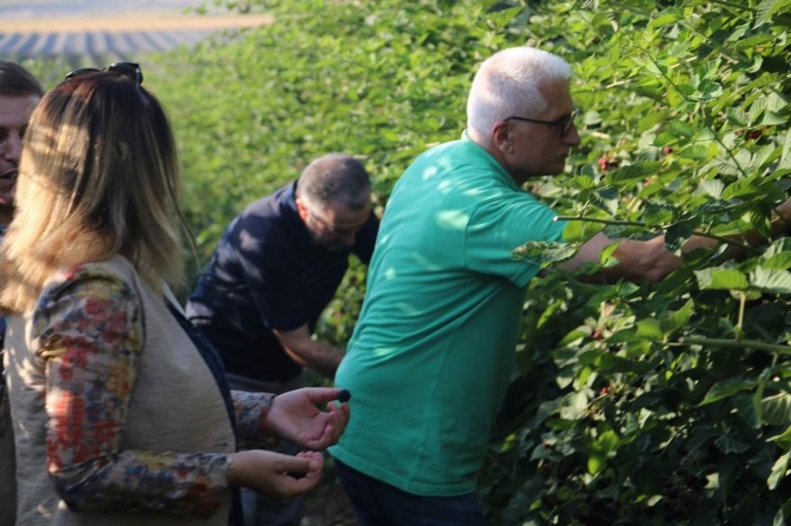 Tam kapasite çalışırsa bin kişiye istihdam sağlayacak