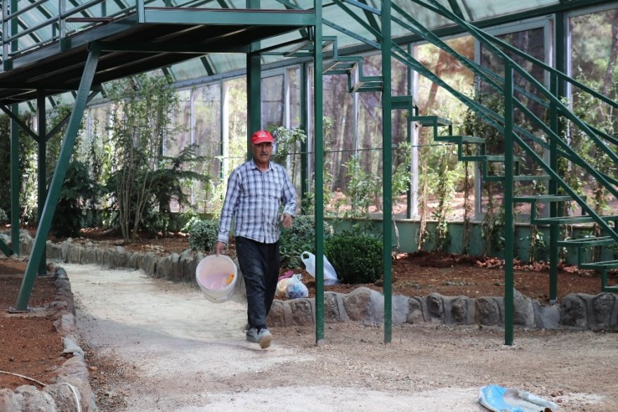 Nesli Tükenen Kelebekler İçin Gaziantep’te Tropik Merkez Yapılıyor