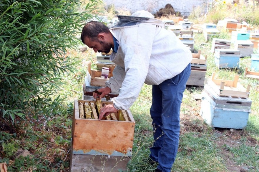Arıları Telef Olan Arıcıya 40 Kovan Arı Desteği