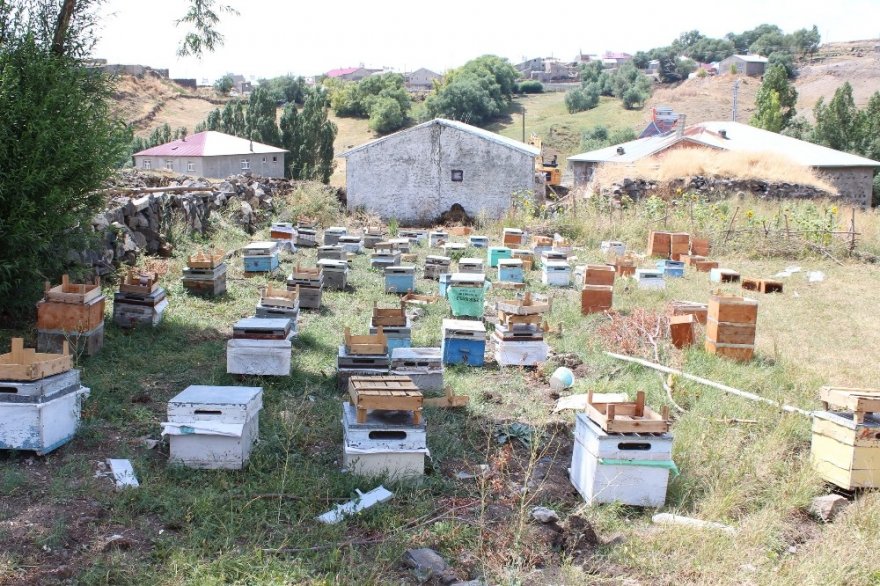 Arıları Telef Olan Arıcıya 40 Kovan Arı Desteği