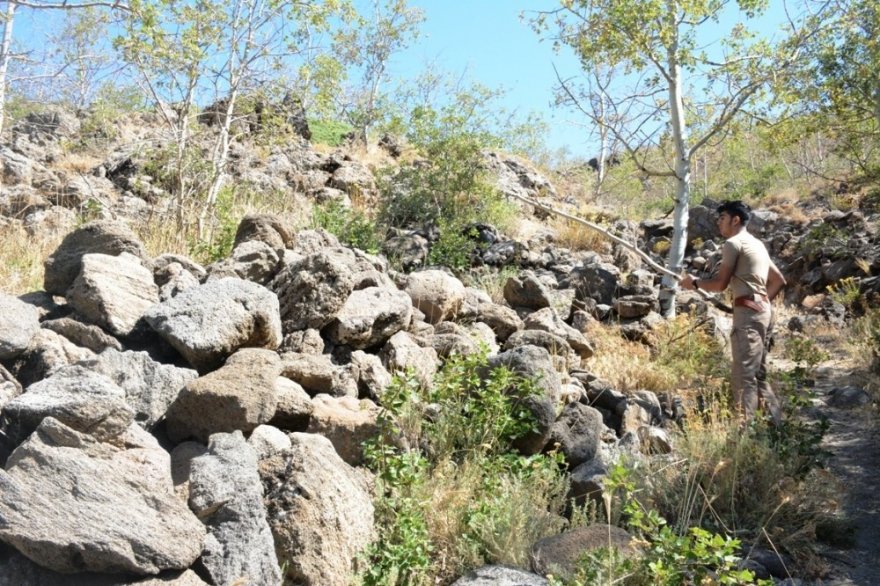 Nemrut Krater Gölü’nde 