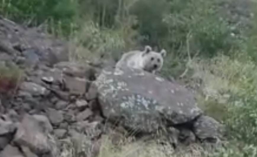 Nemrut Krater Gölü’nde 