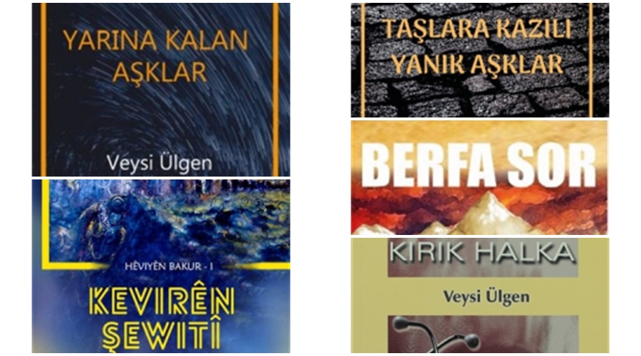 veysi-ulgen-kitap.jpg