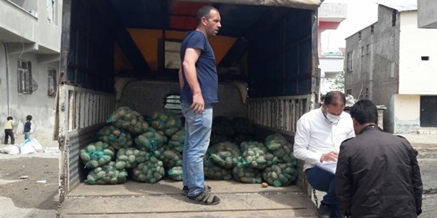 diyarbakir-patates-sogan.jpg