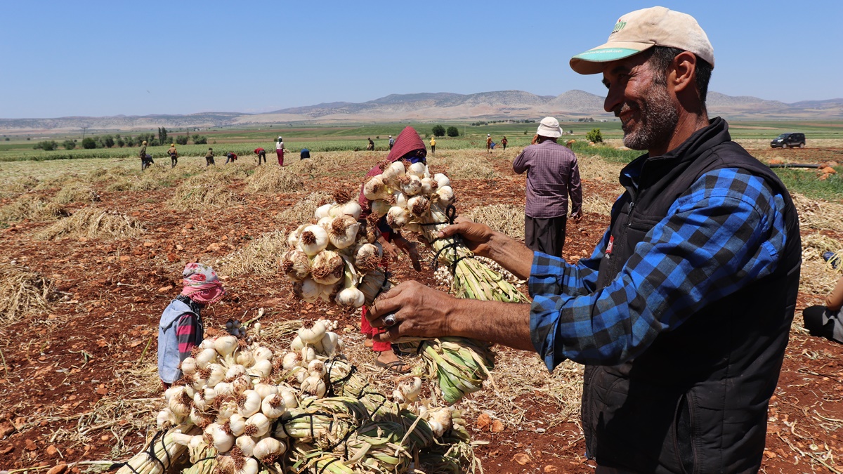antep-tarim-isci.jpg