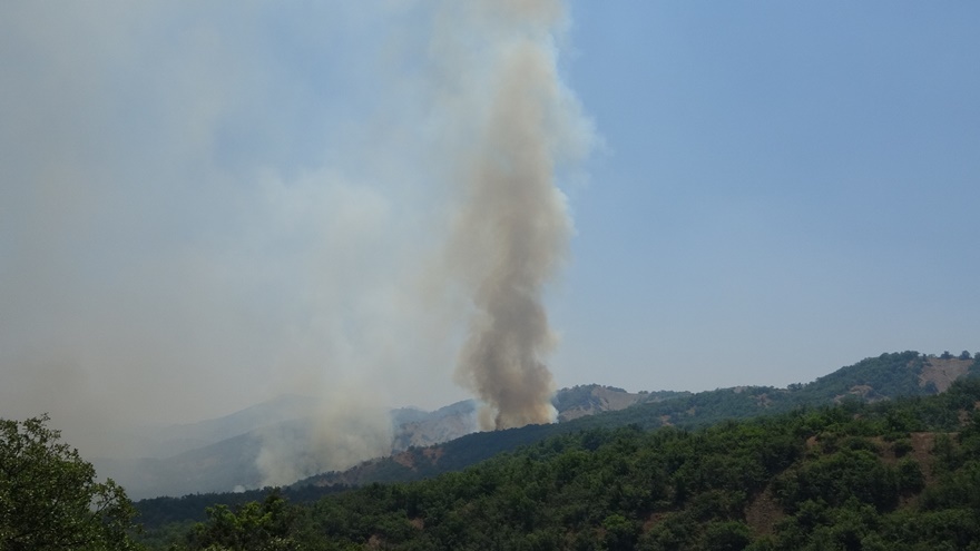 bingol-orman-yangini-1.jpg