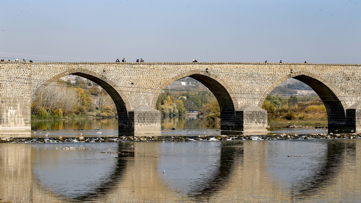 on-gozlu-tigris.jpg