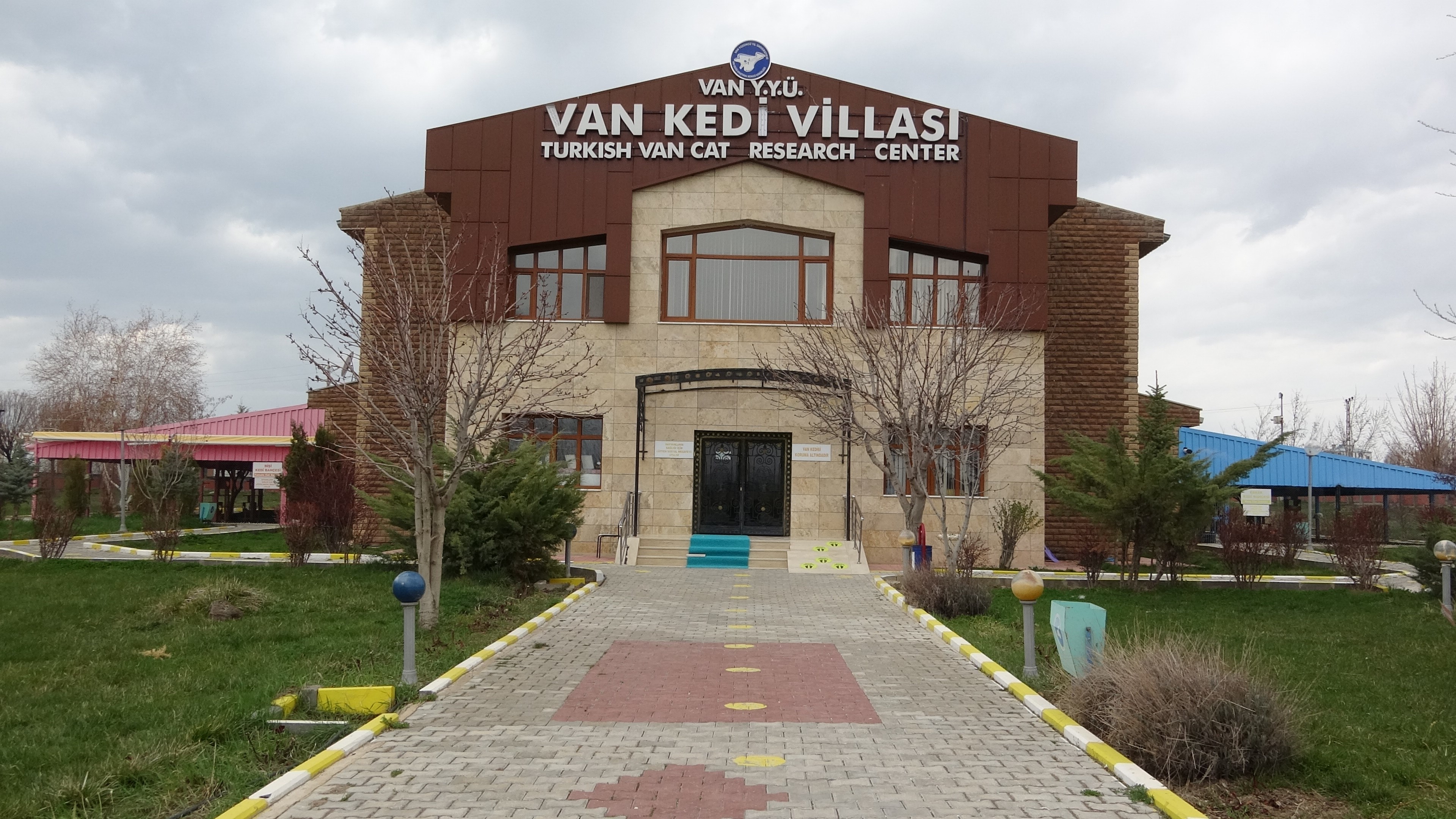 kedi-villasi-3.jpg