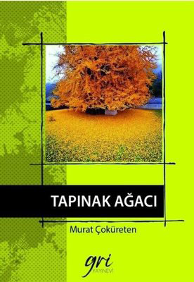 kitap.jpg