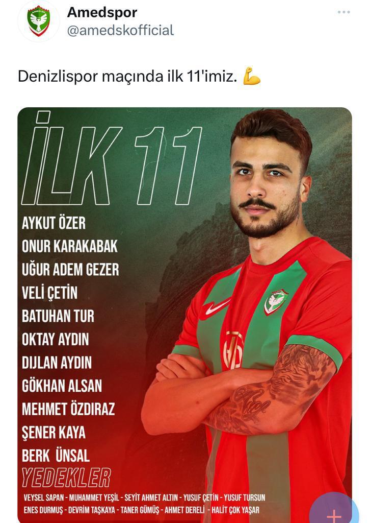 amedspor-tigris.jpeg