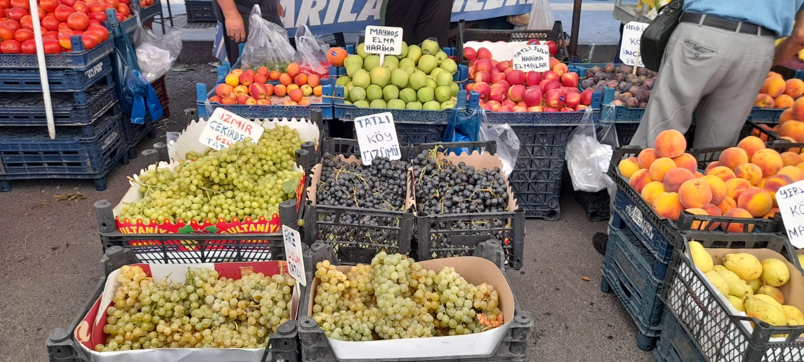 pazarcilar-1.jpeg