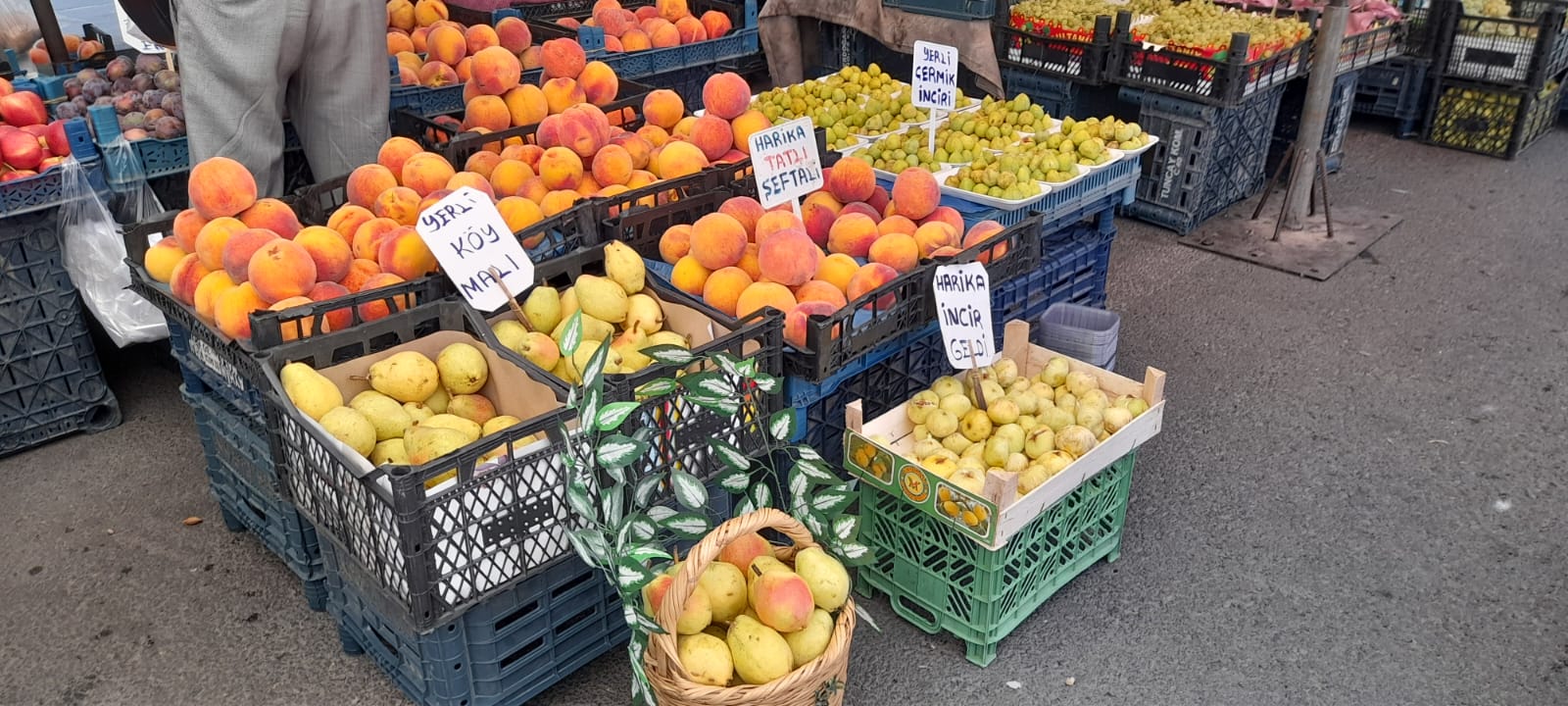 pazarcilar-6.jpeg