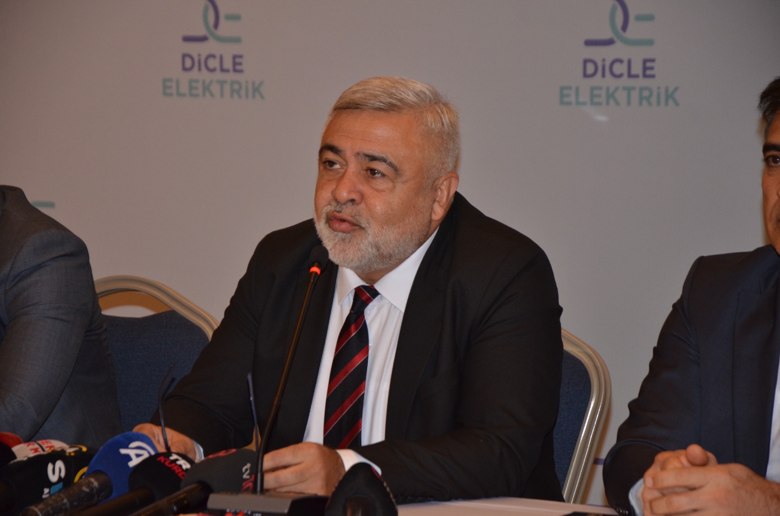dedas-dicle-elektrik-2.jpeg
