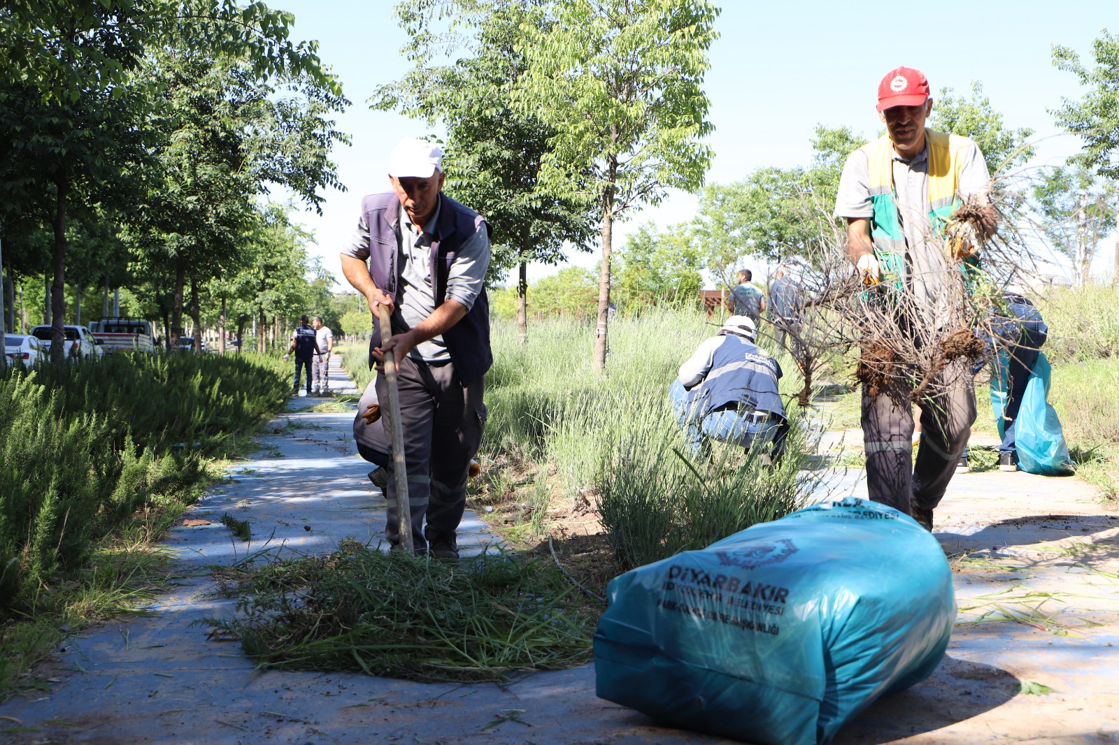 millet-bahcesinde-temizlik-3.jpeg