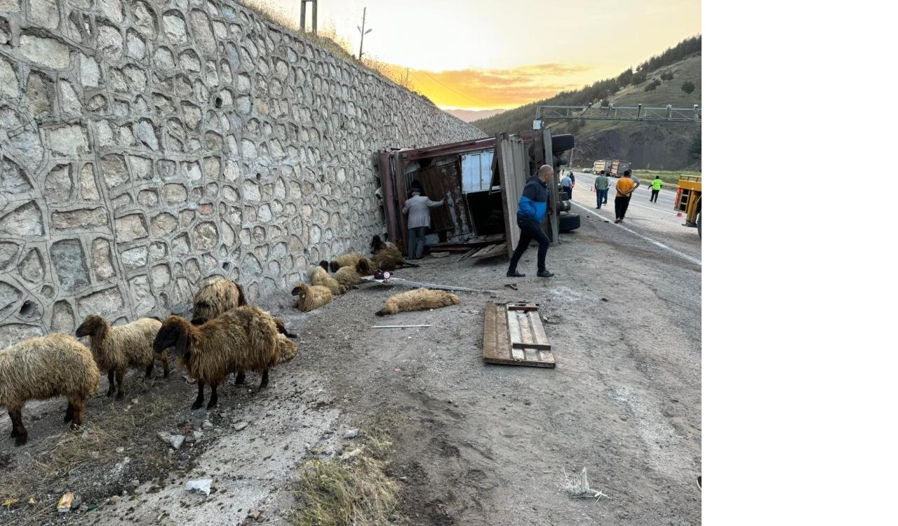 siirtte-tir-devrildi-2-kisi-yaralandi-40-kucukbas-hayvan-telef-oldu.jpg