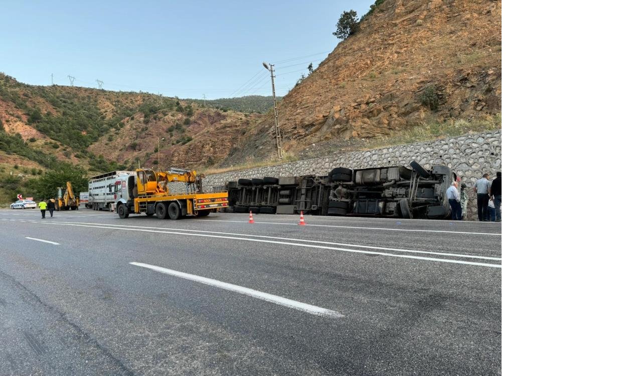 siirtte-tir-devrildi-2-kisi-yaralandi-40-kucukbas-hayvan-telef-oldu2.jpg
