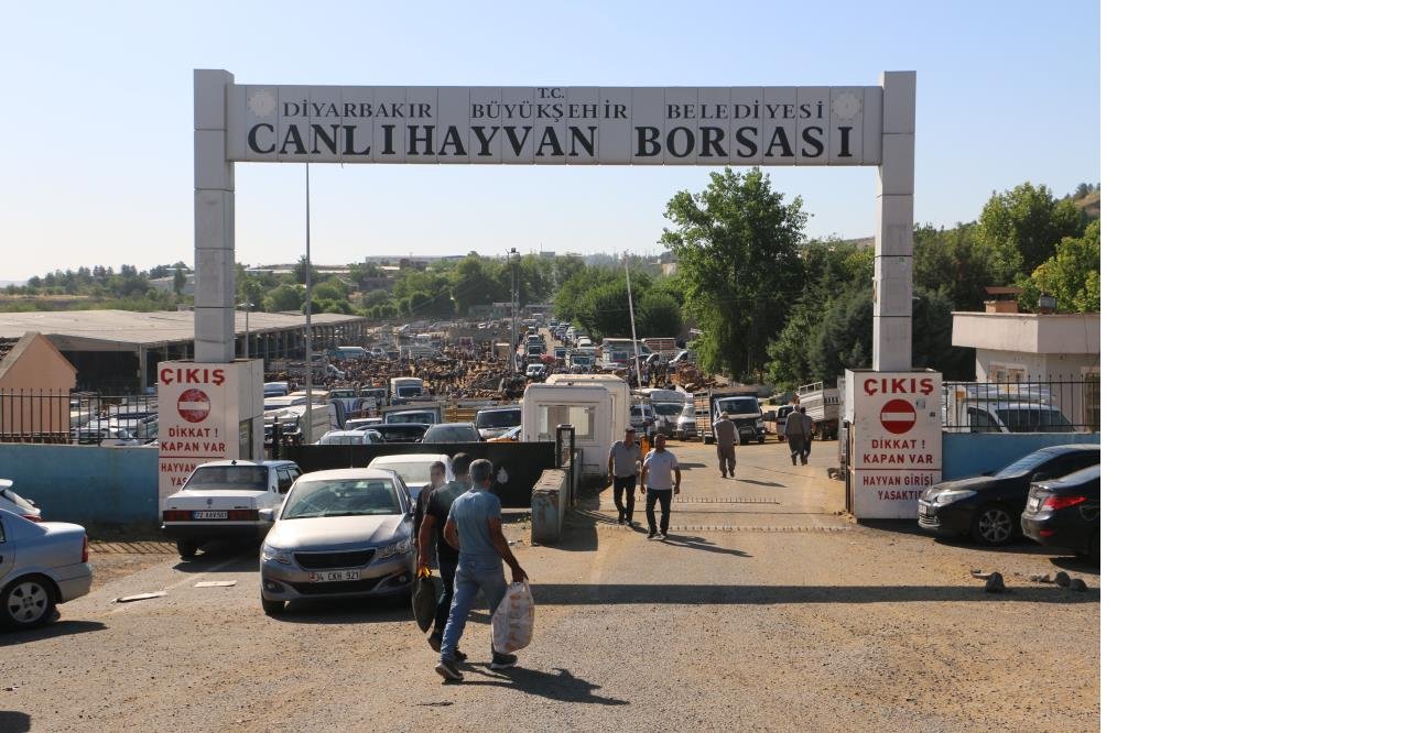 hayvan-pazari-hareketli4.jpg