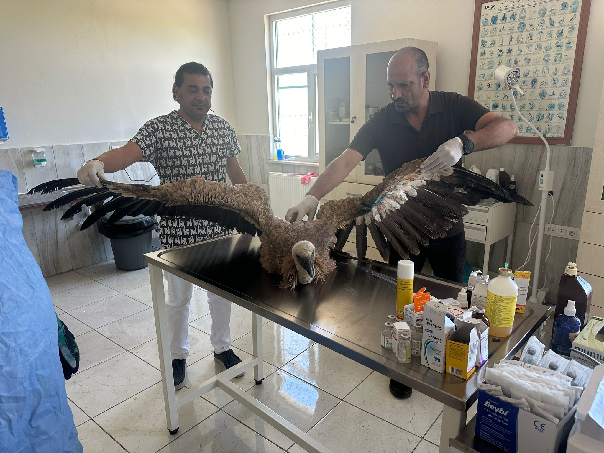 dicle-universitesi-291-hayvan-tedavi-edildi3.jpg