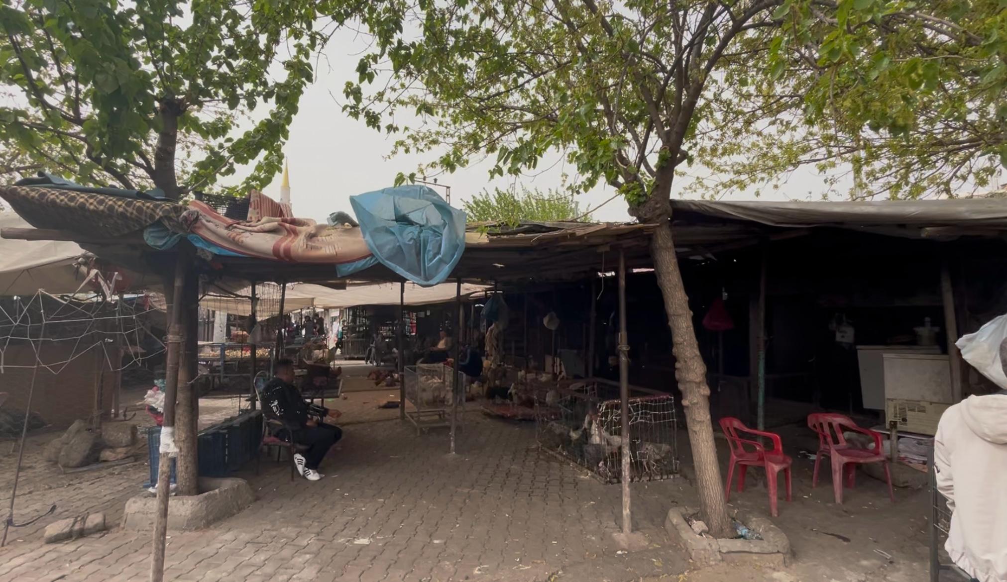 diyarbakir-tavuk-piyasasi-1.jpeg