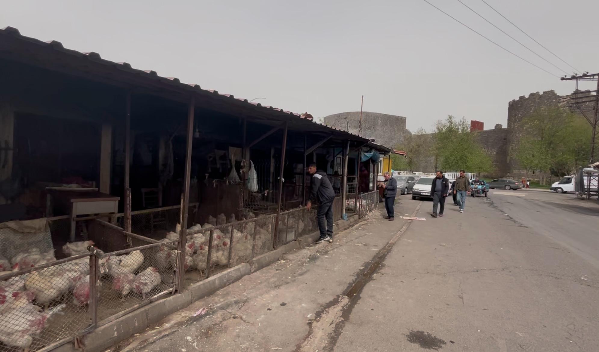 diyarbakir-tavuk-piyasasi-2.jpeg