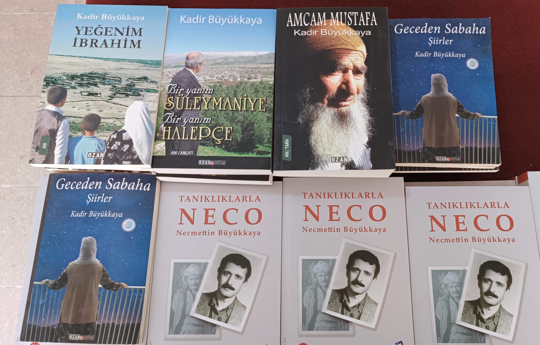 necmettin-buyukkaya-kitabi-taniotim-2.jpeg