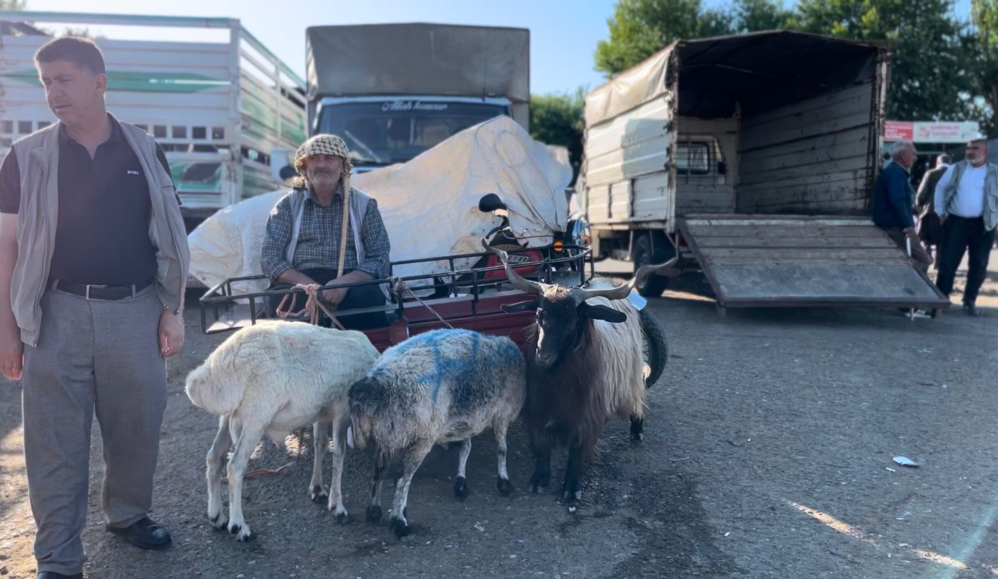 diyarbakri-da-kurban-hareketliligi-5.jpeg