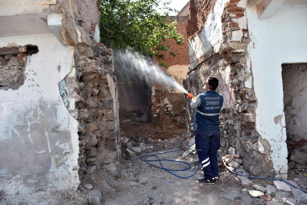 diyarbakirda-metruk-binalarda-ilaclama-yapildi-2.jpg