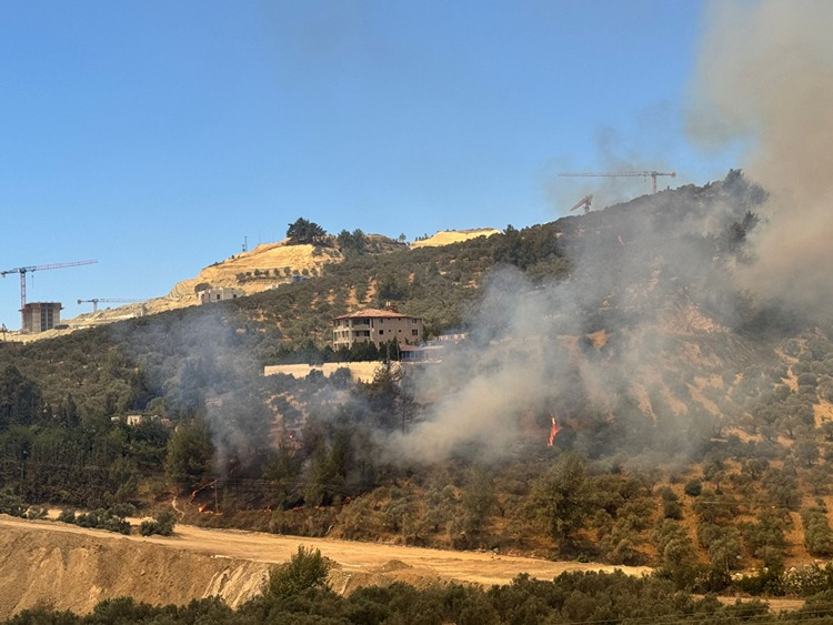 hatayda-ormanlik-alanda-yangin-cikti-2.jpg