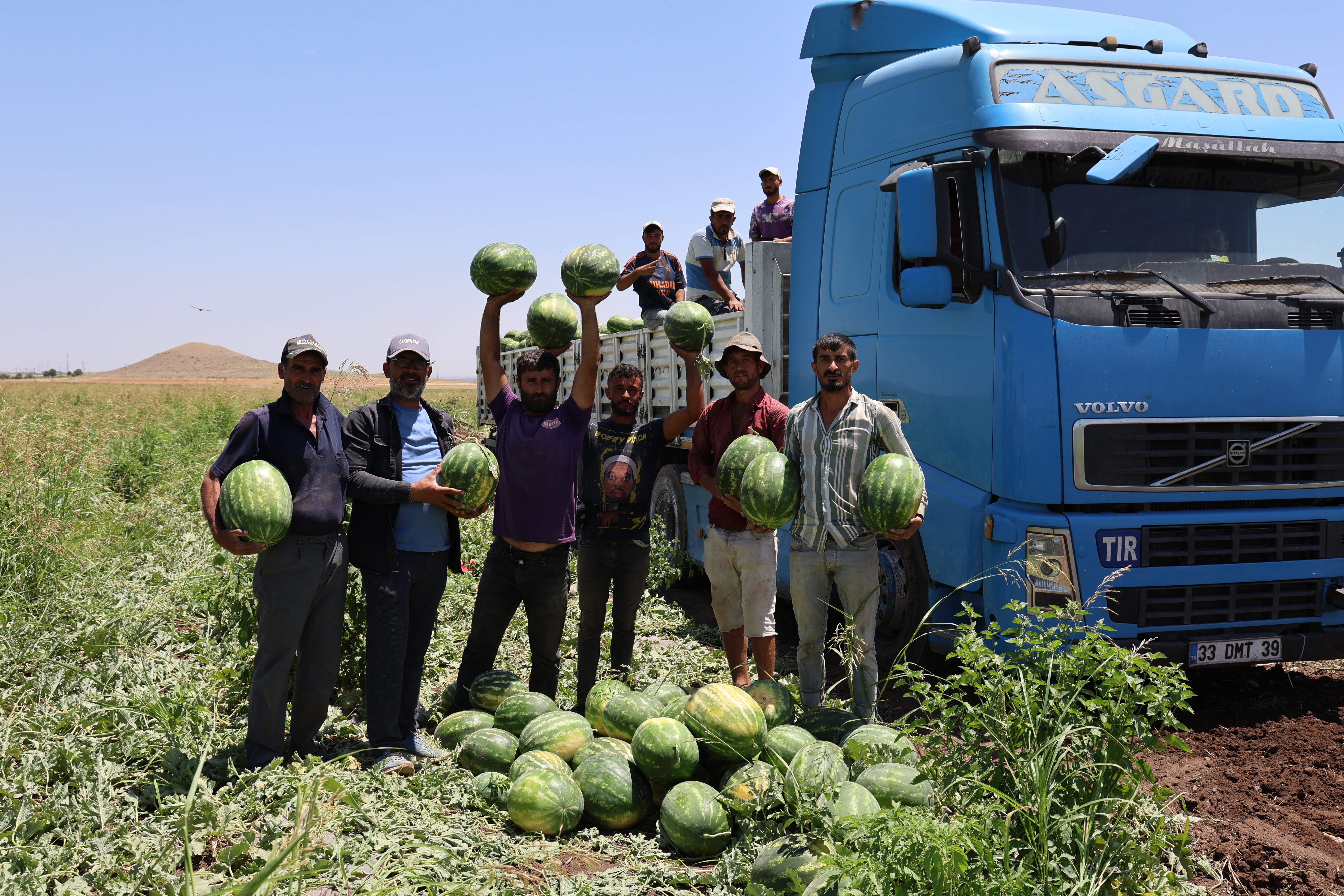 diyarbakir-karpuzunda-hasat-devam-ediyor-2.jpg